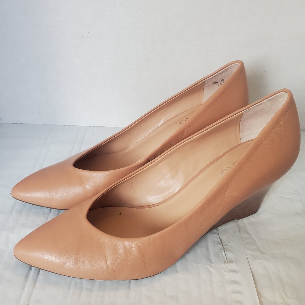 Franco Sarto peachy pointy toe wedge